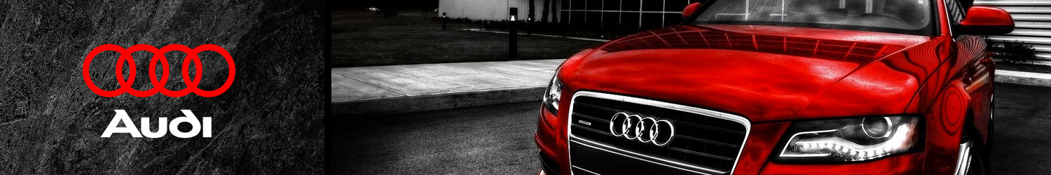 Banner playeras Audi